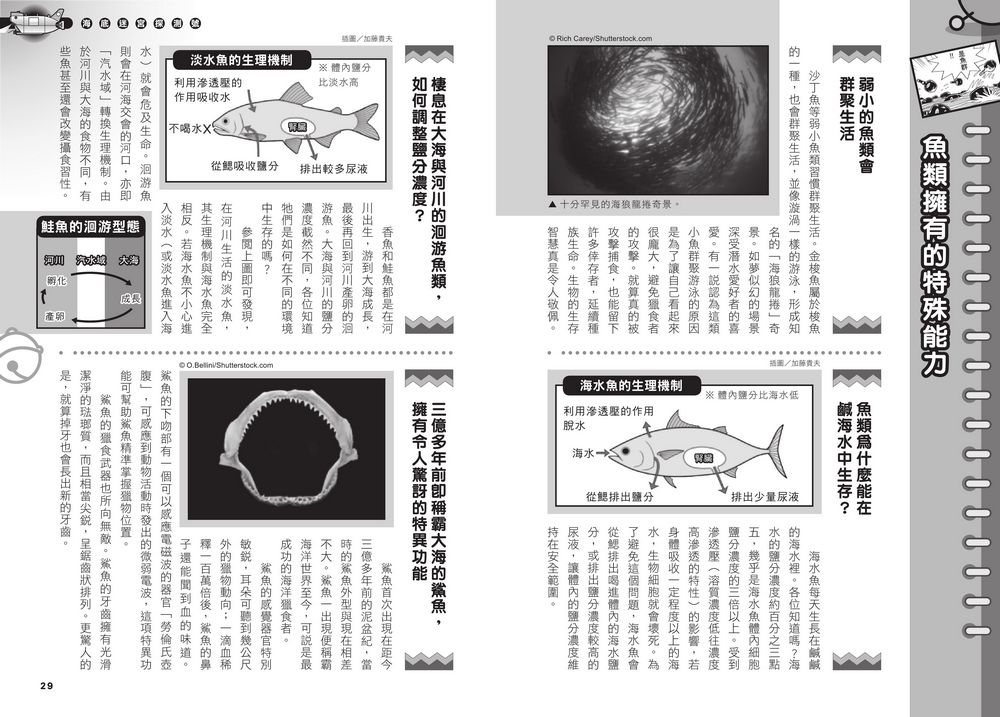 書封