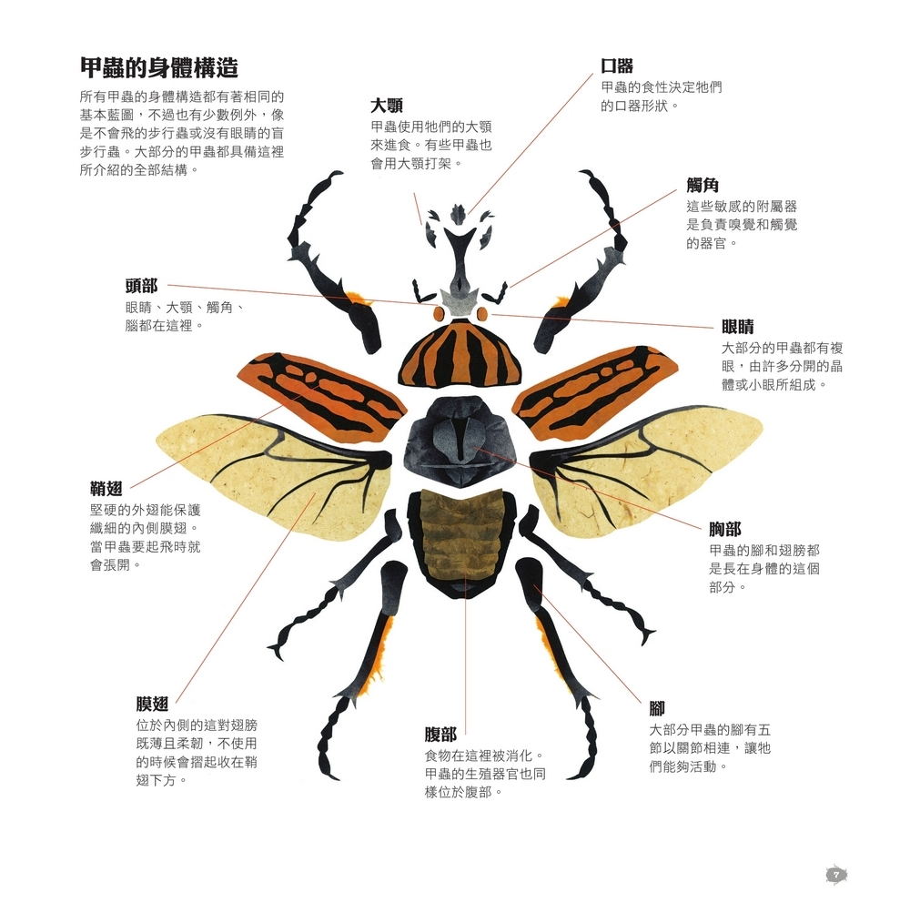 書封