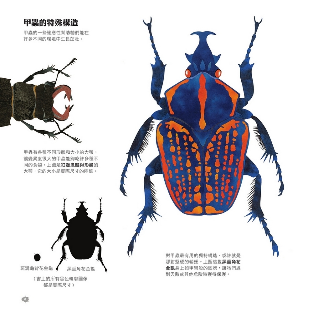 書封