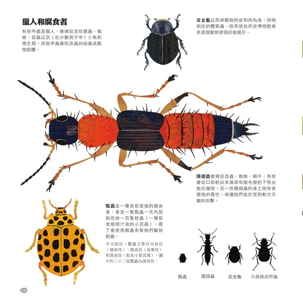 書封