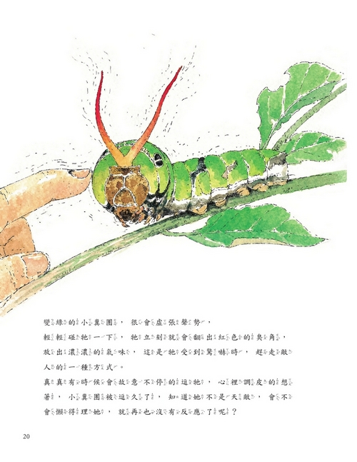 書封