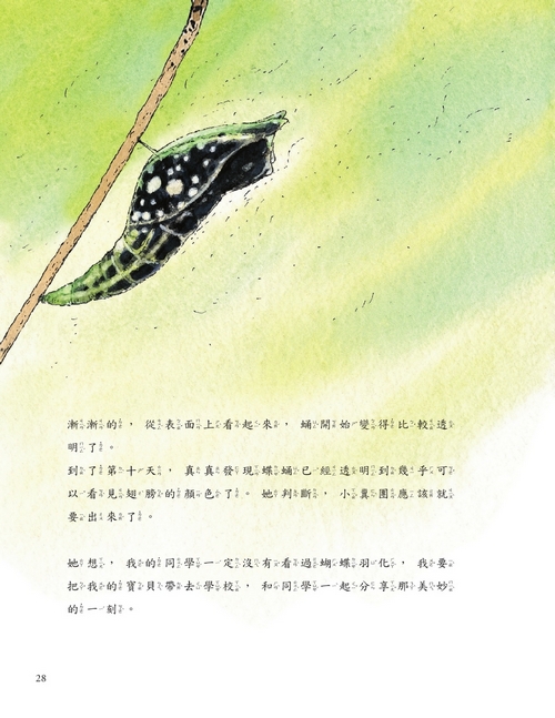 書封