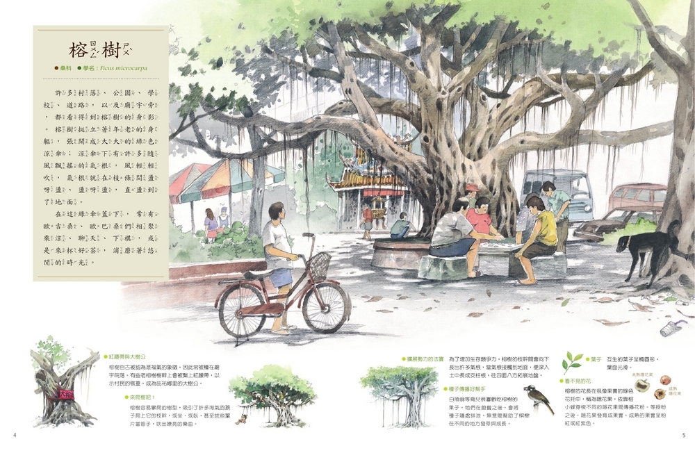 書封