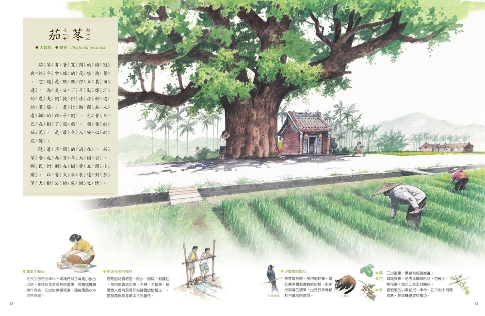 書封