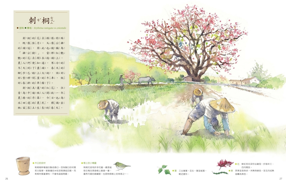 書封