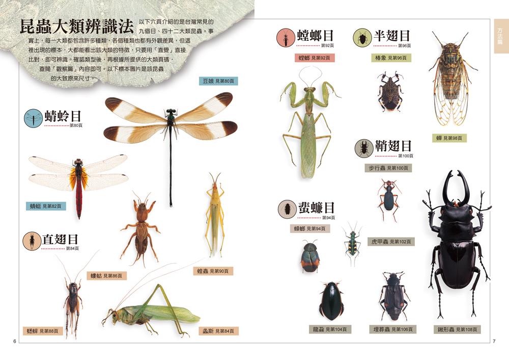 書封