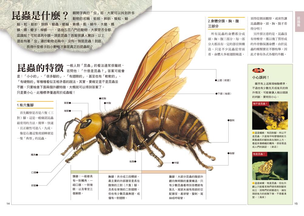 書封