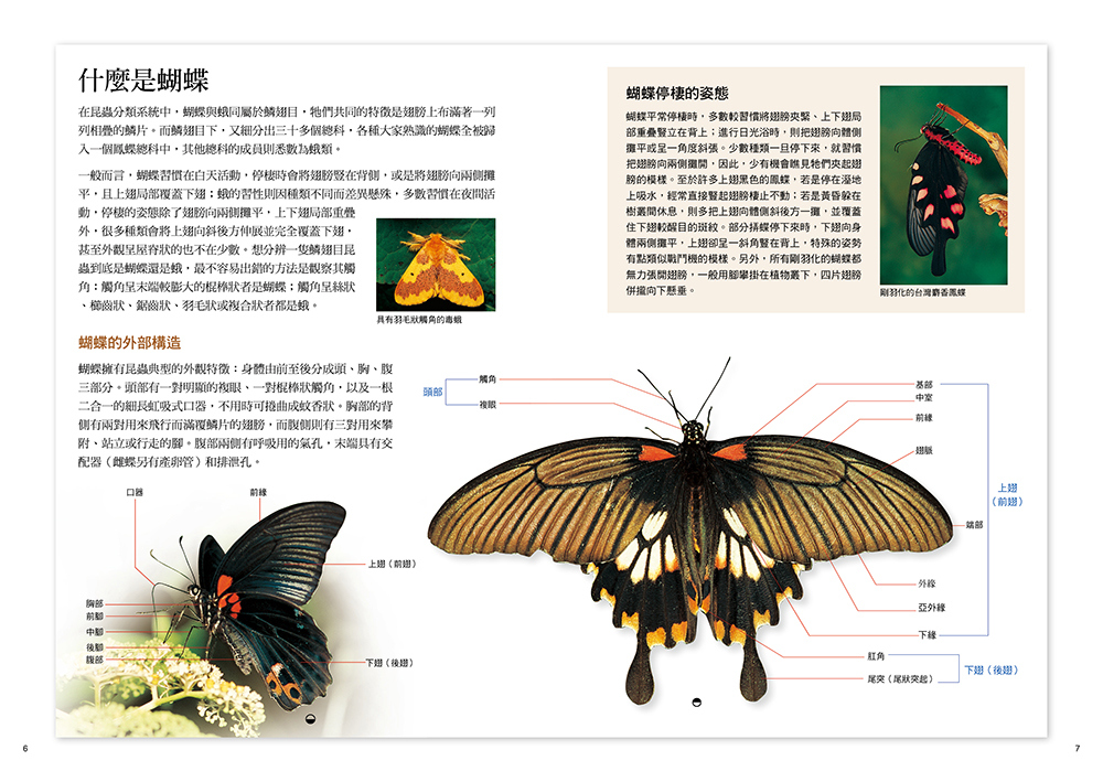 書封