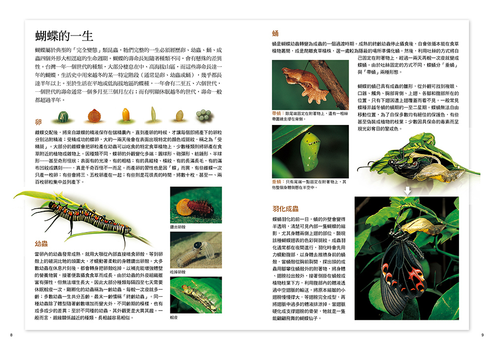 書封