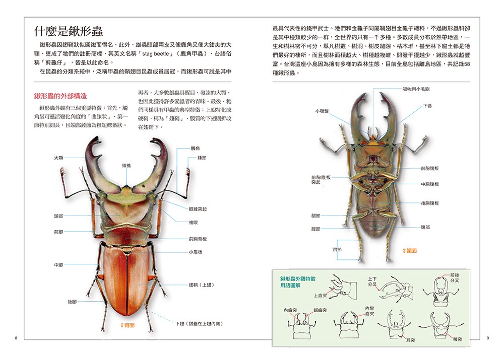 書封