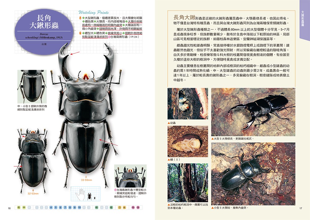 書封