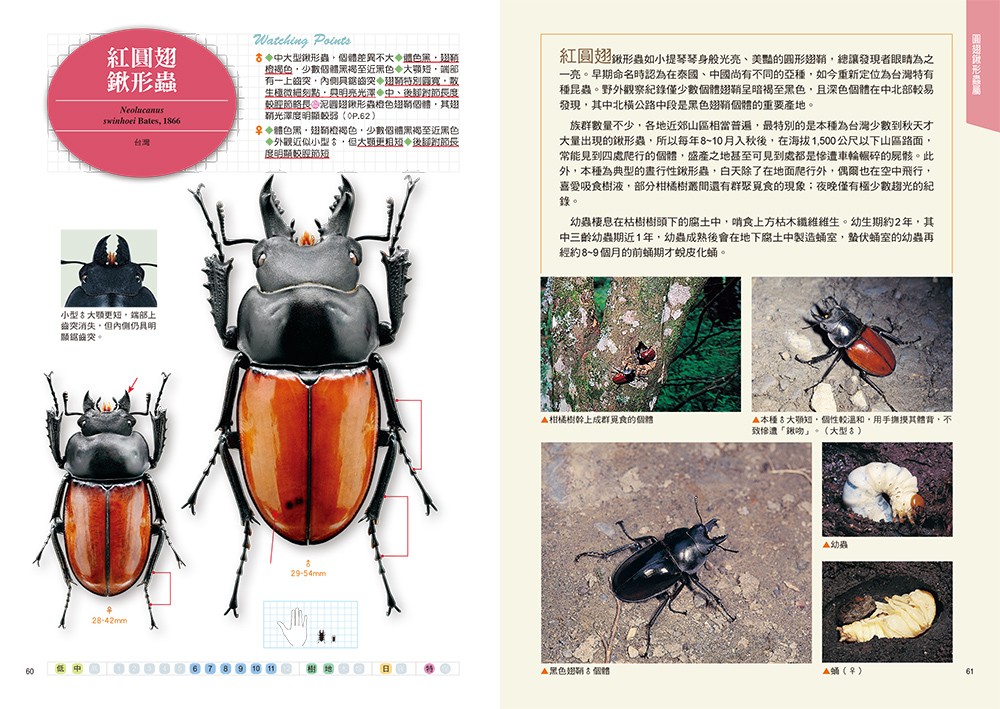 書封