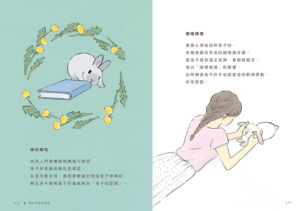 書封