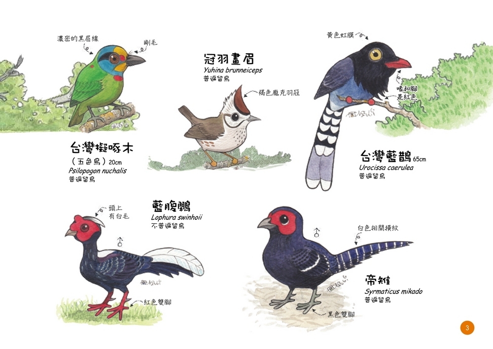 書封