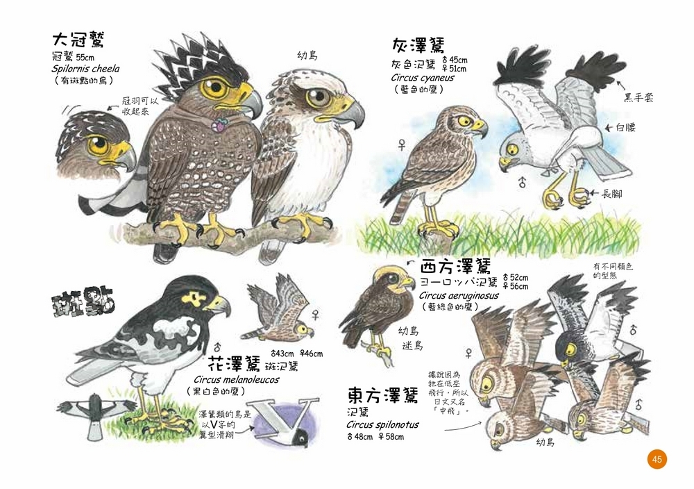 書封