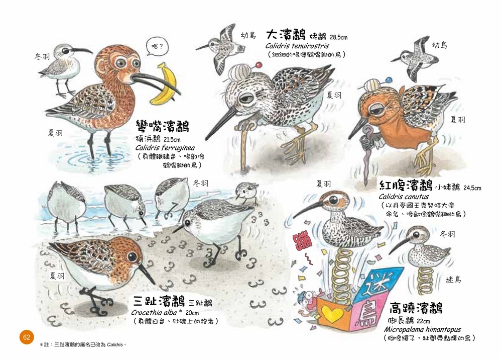 書封