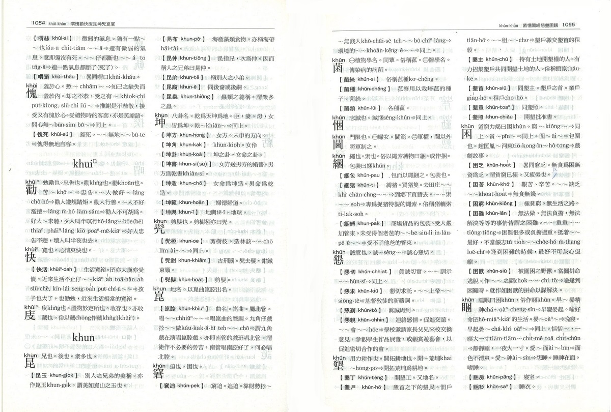 台灣話大詞典
